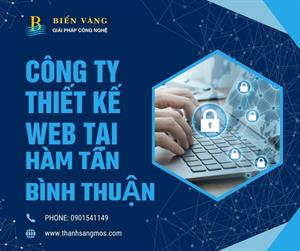 Công ty thiết kế web giá rẻ tại Hàm Tân, Lagi