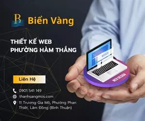 Thiết Kế Website tại Phường Hàm Thắng, Lâm Đồng – Đồng Hành Cùng Doanh Nghiệp Chinh Phục Thị Trường Online Cùng Biển Vàng