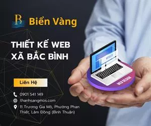 Thiết Kế Website tại Xã Bắc Bình, Lâm Đồng – Đồng Hành Cùng Doanh Nghiệp Chinh Phục Thị Trường Online Cùng Biển Vàng