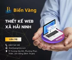 Thiết Kế Website tại Xã Hải Ninh, Lâm Đồng – Đồng Hành Cùng Doanh Nghiệp Chinh Phục Thị Trường Online Cùng Biển Vàng