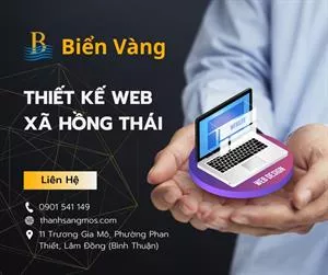 Thiết Kế Website tại Xã Hồng Thái, Lâm Đồng – Đồng Hành Cùng Doanh Nghiệp Chinh Phục Thị Trường Online Cùng Biển Vàng