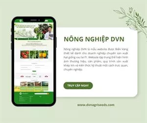 Website nông sản Lâm Đồng cho khách sỉ: hạt giống, rau hoa, đại lý