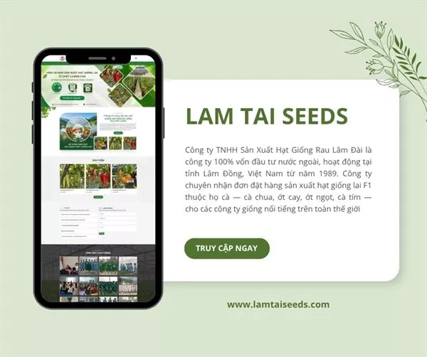 Thuê đơn vị làm web ở tỉnh khác: làm việc từ xa sao cho yên tâm