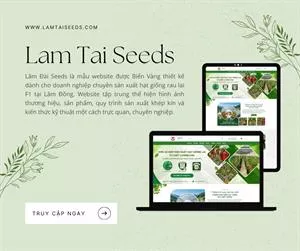 Thiết Kế Website Chuyên Nghiệp Cho Doanh Nghiệp Nông Nghiệp – Website Lam Tai Seeds