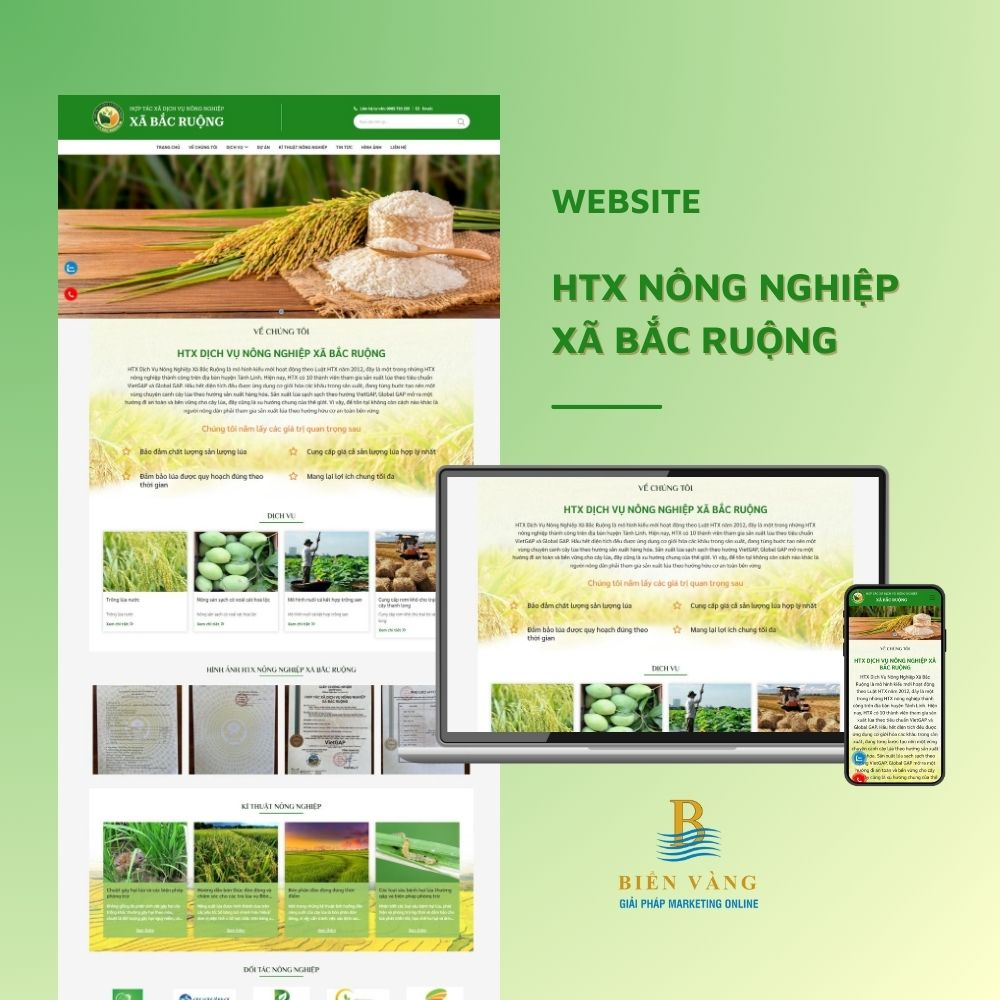 Thiết kế website Bình Thuận uy tín