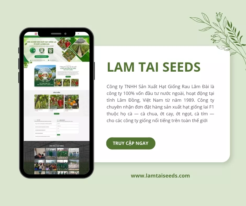 Giao diện website Lam Tai Seeds ở Đà Lạt do Biển Vàng thiết kế